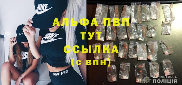 стафф Абинск