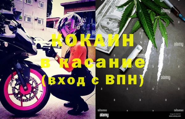 амф Новозыбков