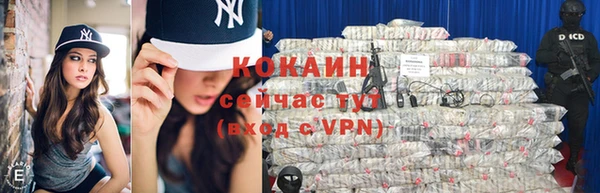 амф Новозыбков
