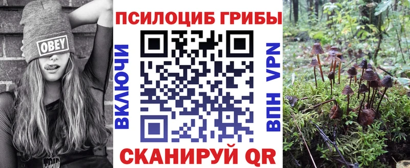 mega рабочий сайт  Омск  Псилоцибиновые грибы GOLDEN TEACHER  где купить наркоту 